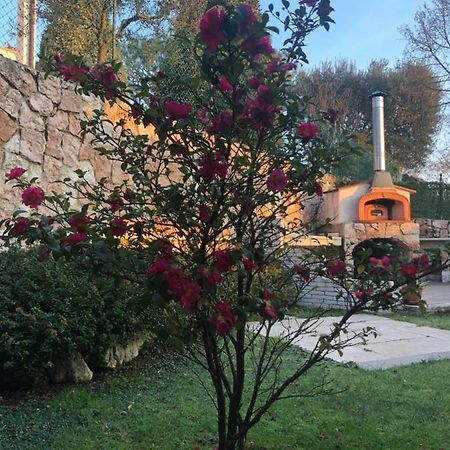 B&B Damiano Crespano del Grappa Esterno foto